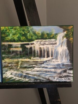 Deep calls to deep in the roar of your waterfalls; all your waves and breakers have swept over me. Psalm 42:7 "Waterloo Falls"