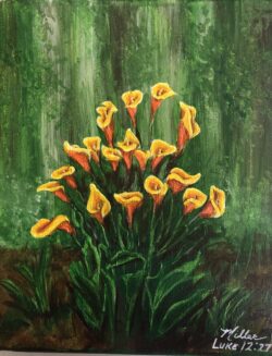 "Calla Lilies" -- Not even Solomon in all his splendor was dressed like one of these. Luke 12:27 "Calla Lilies"