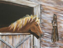 "Unburdened" -- “Come to me, all you who are weary and burdened, and I will give you rest.” Matthew 11:28 "Unburdened"