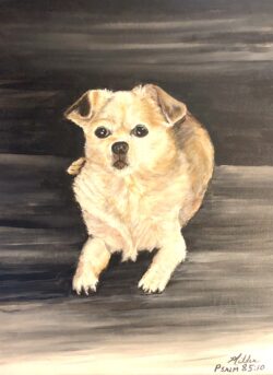 "Bella" -- Love and faithfulness meet together. Psalm 85:10 "Bella"