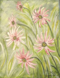 "Tennessee Cornflowers"--Even Solomon in all his splendor was not
dressed like one of these. Luke 12:27 "Tennessee Cornflowers"